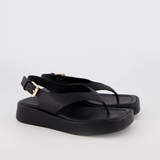 Bronwyn Jocelyn - Black