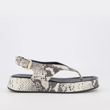 Bronwyn Jocelyn - Natural Snake