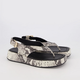 Bronwyn Jocelyn - Natural Snake