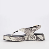 Bronwyn Jocelyn - Natural Snake