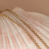 Zoe & Morgan Kaia Chain - 22k Gold Vermeil
