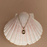 Zoe & Morgan Secret Society of Shell Lovers Necklace - 22k Gold Vermeil