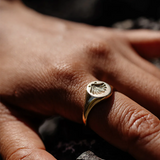 Zoe & Morgan Secret Society of Shell Lovers Signet - 22k Gold Vermeil