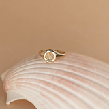 Zoe & Morgan Secret Society of Shell Lovers Signet - 22k Gold Vermeil