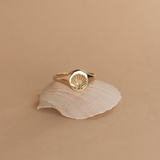 Zoe & Morgan Secret Society of Shell Lovers Signet - 22k Gold Vermeil
