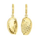 Zoe & Morgan Soul Paua Earrings - 22k Gold Vermeil